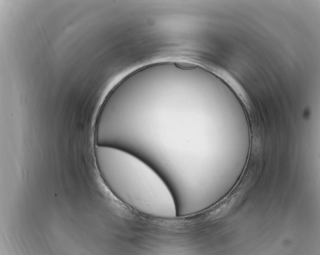 X0000094181004200710260927
