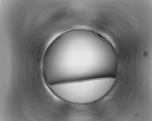X0000094181007200710260927
