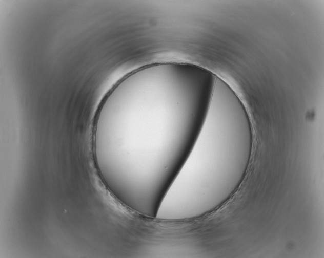 X0000094181008200710260927