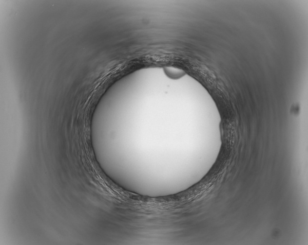 X0000094181009200710260927
