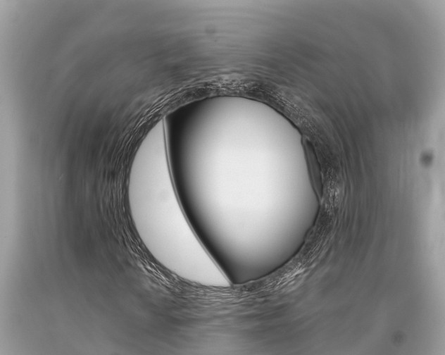 X0000094181010200710260927
