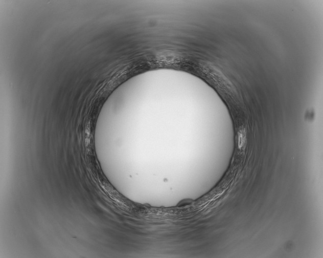 X0000094181011200710260927