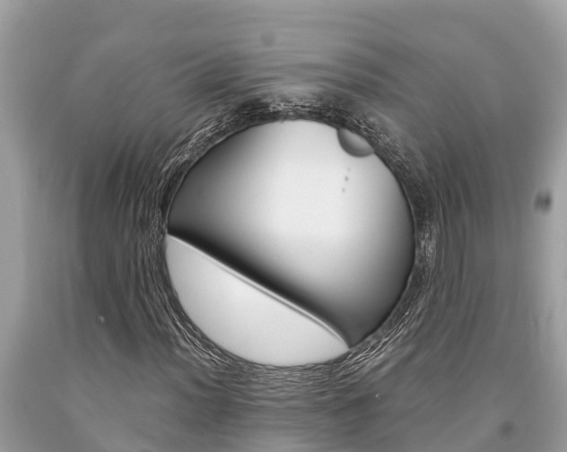 X0000094181012200710260927
