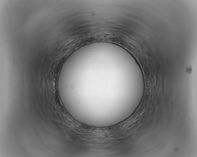 X0000094181013200710260927