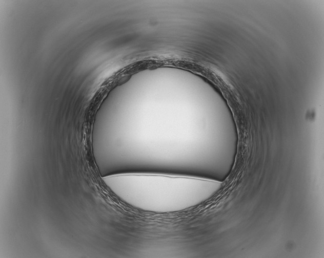 X0000094181016200710260927