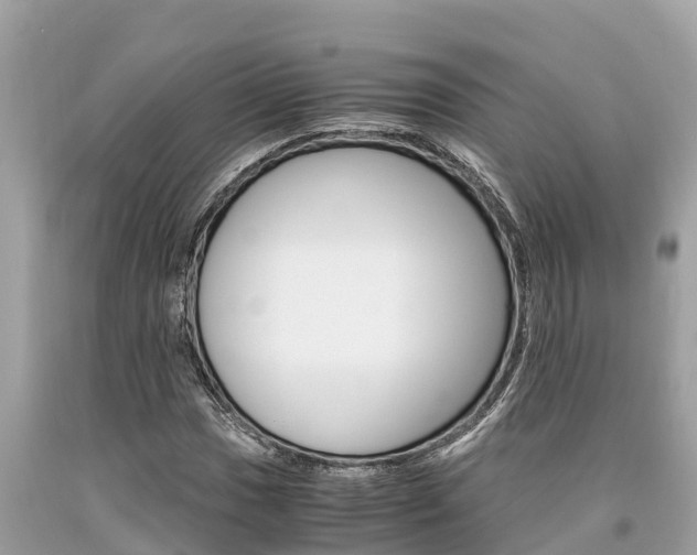 X0000094181017200710260927