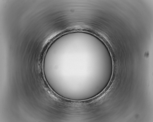 X0000094181018200710260927