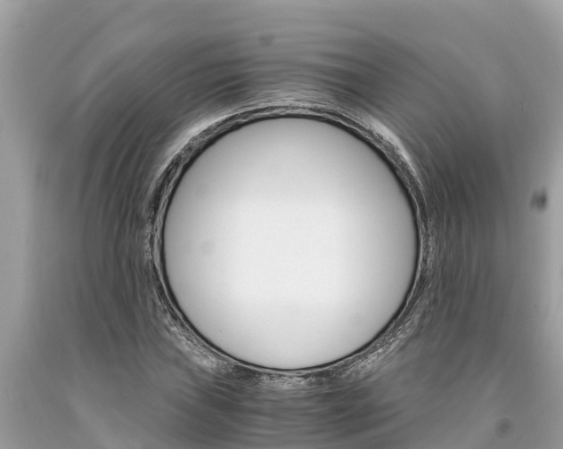 X0000094181019200710260927