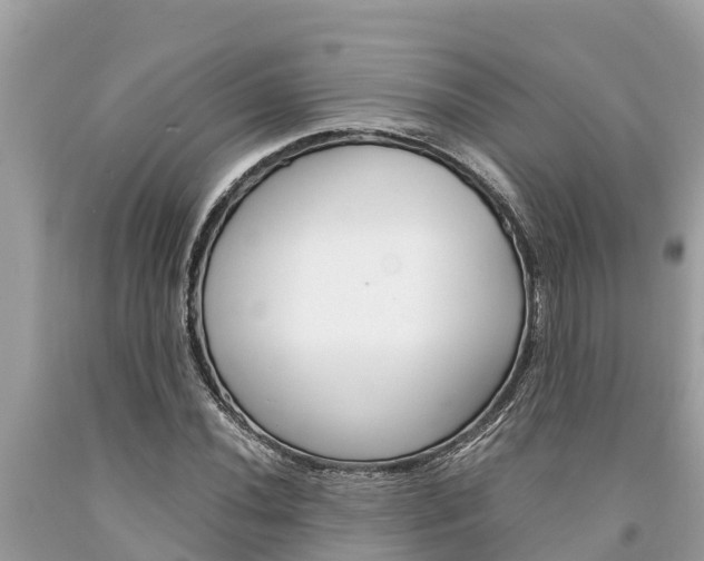 X0000094181020200710260927
