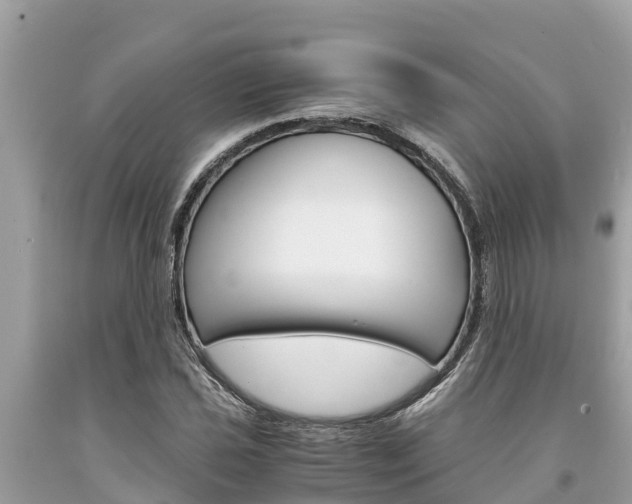 X0000094181021200710260927