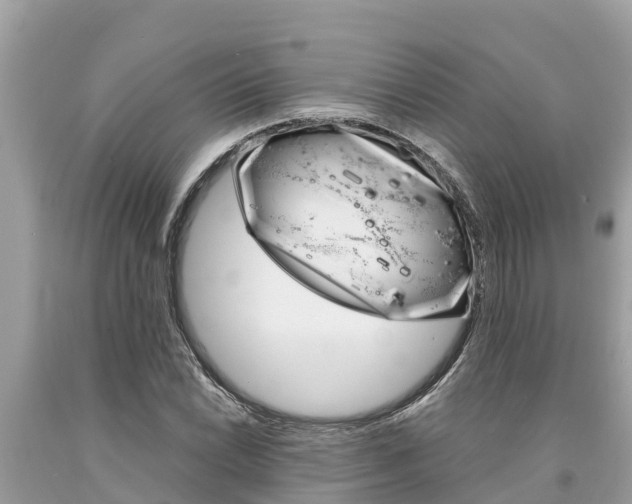 X0000094181022200710260927