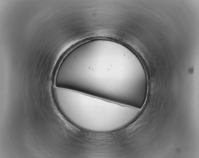X0000094181024200710260927