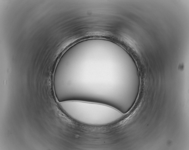 X0000094181025200710260927