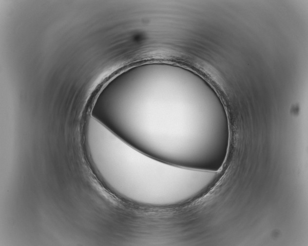 X0000094181026200710260927