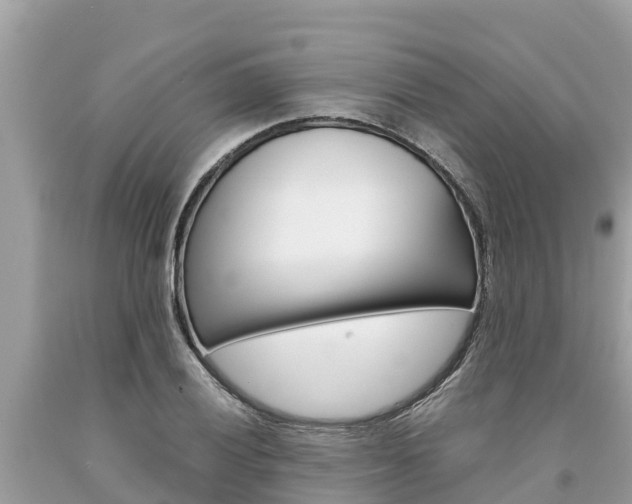 X0000094181028200710260927