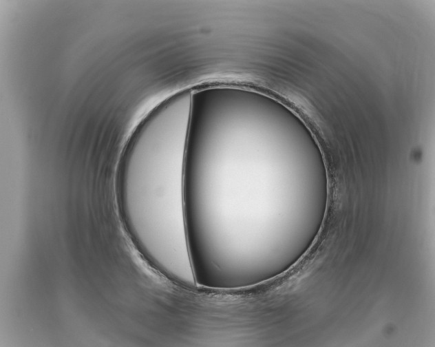 X0000094181030200710260927
