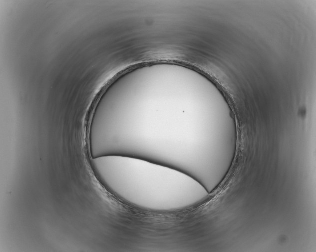 X0000094181031200710260927