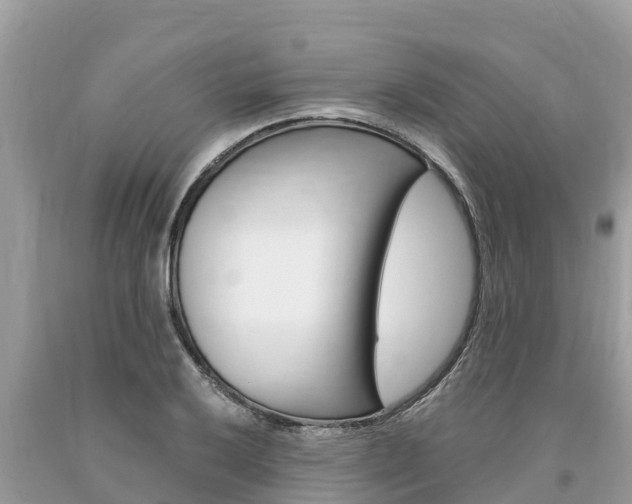 X0000094181032200710260927