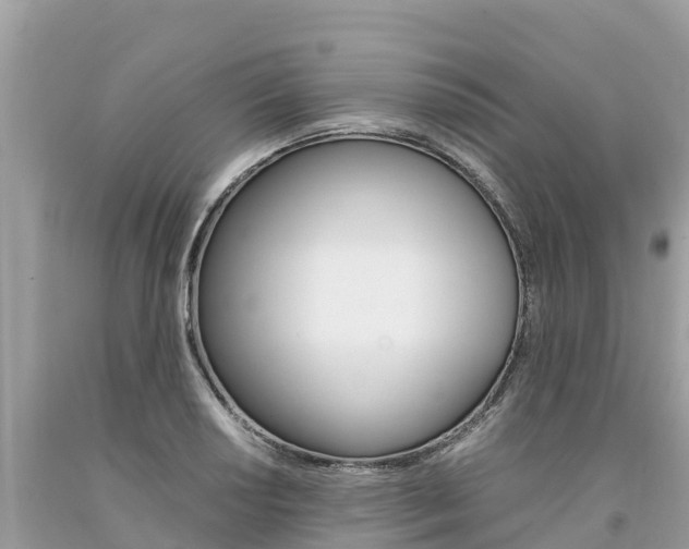 X0000094181034200710260927