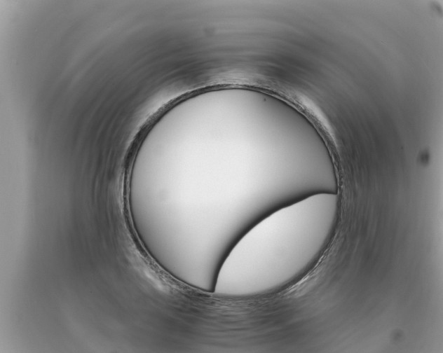 X0000094181035200710260927
