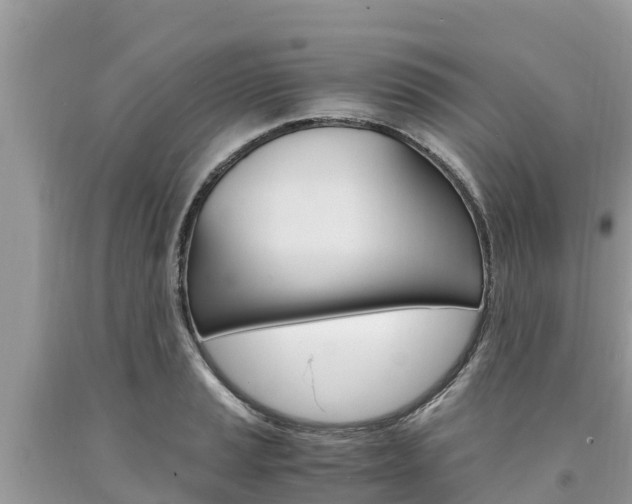 X0000094181037200710260927