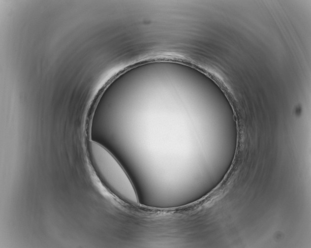 X0000094181038200710260927