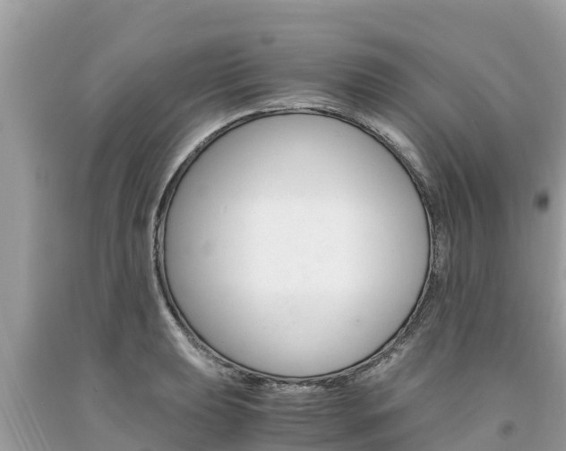 X0000094181039200710260927