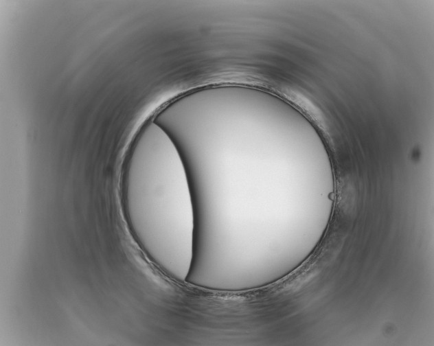 X0000094181043200710260927