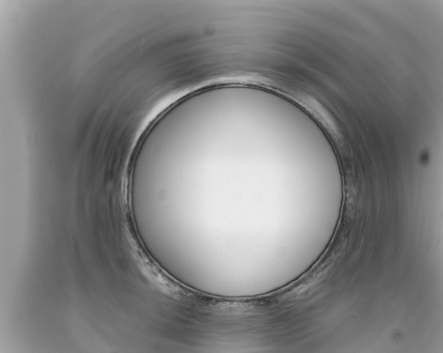 X0000094181044200710260927