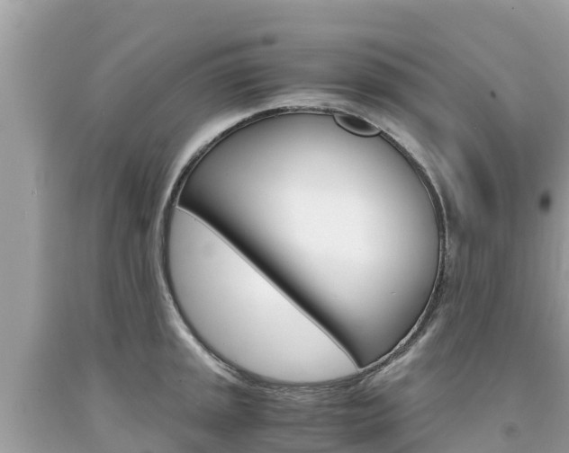 X0000094181045200710260927