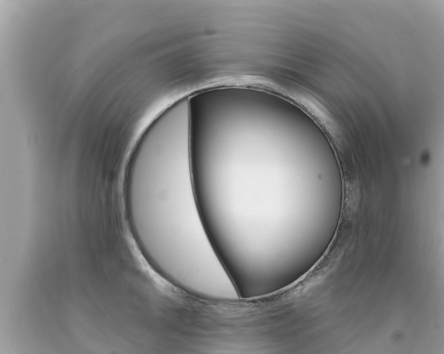 X0000094181046200710260927