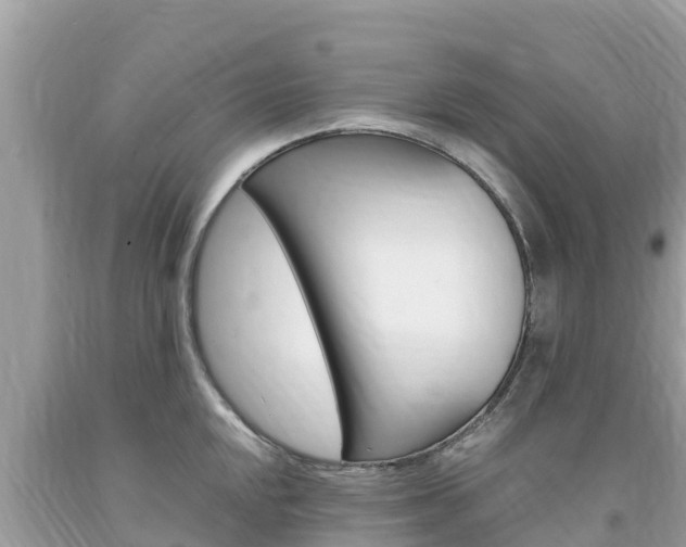 X0000094181048200710260927