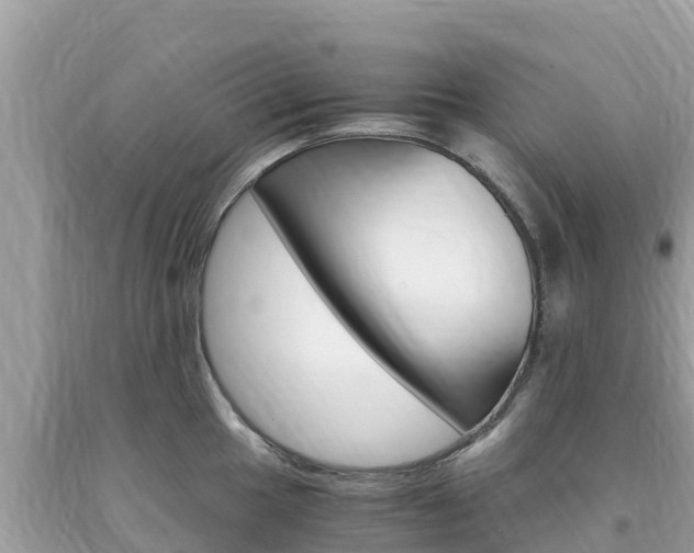 X0000094181049200710260927