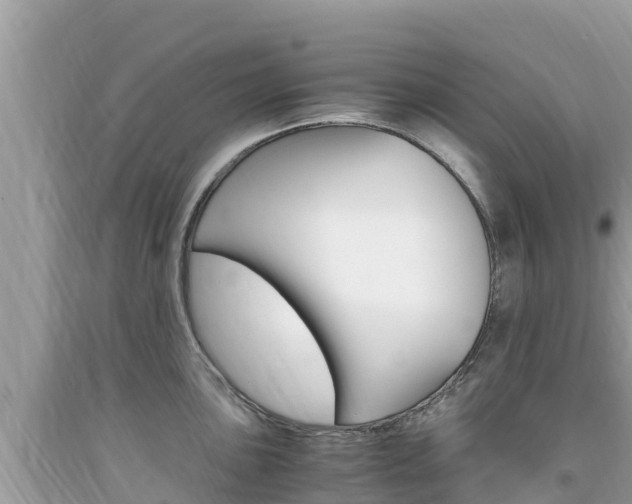 X0000094181051200710260927
