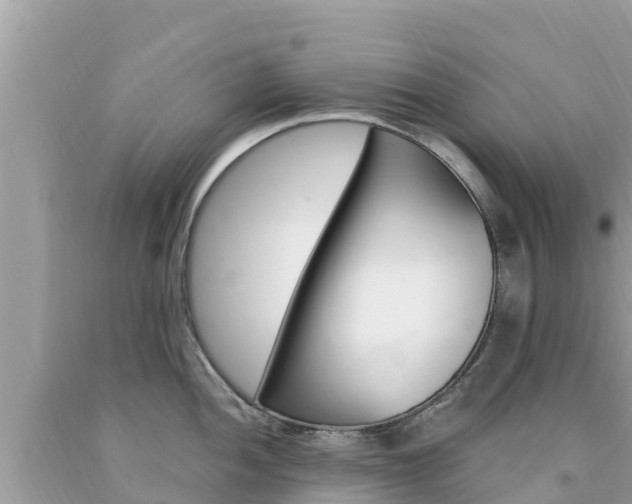 X0000094181052200710260927