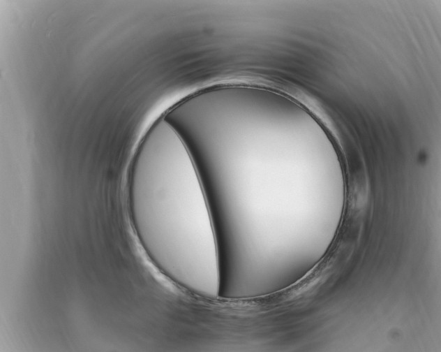X0000094181053200710260927