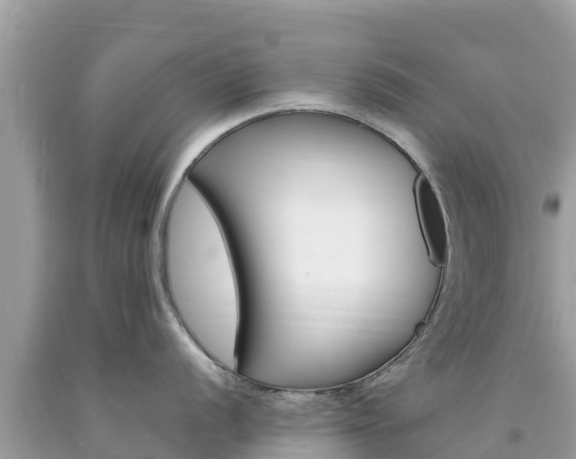 X0000094181056200710260927