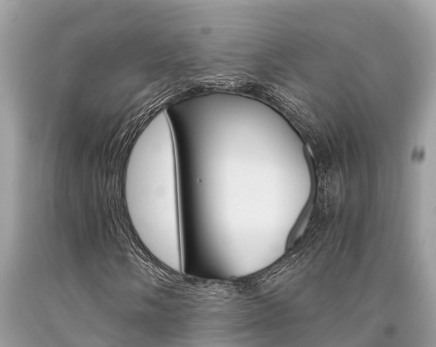 X0000094181058200710260927