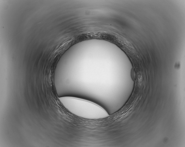 X0000094181060200710260927
