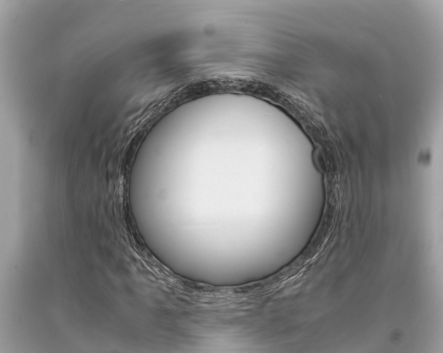 X0000094181061200710260927