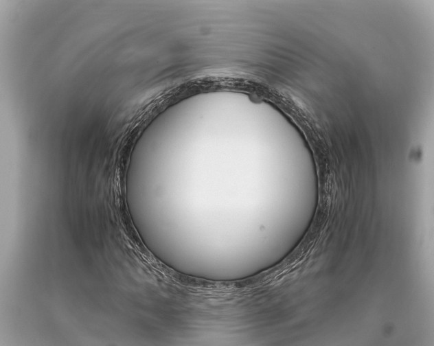 X0000094181062200710260927