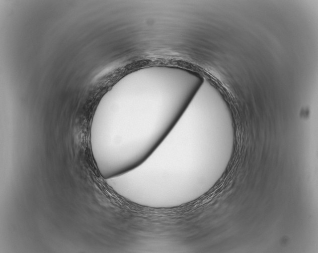 X0000094181063200710260927