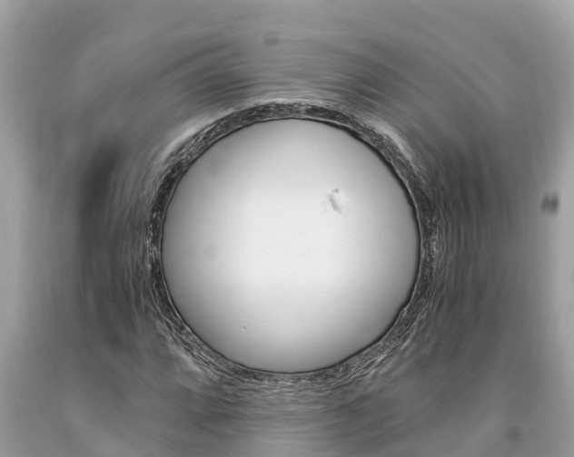 X0000094181064200710260927