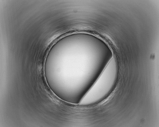 X0000094181065200710260927