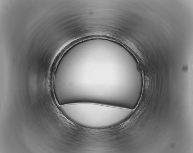 X0000094181068200710260926