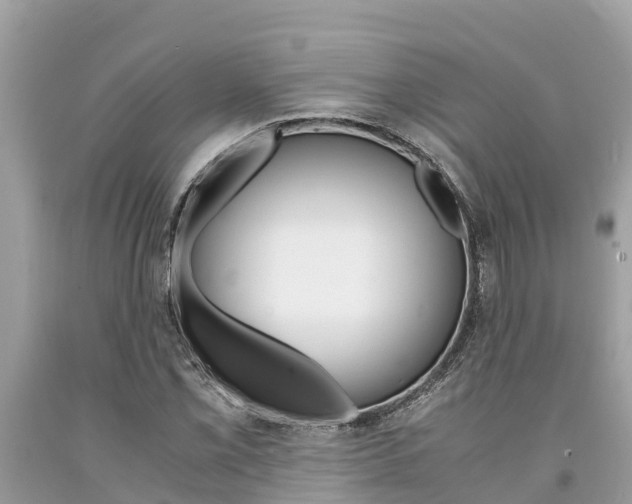 X0000094181069200710260926