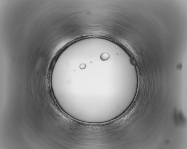 X0000094181071200710260926