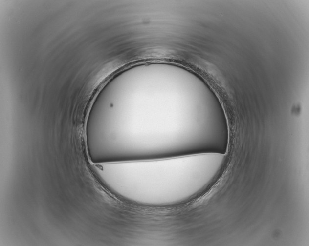 X0000094181073200710260926