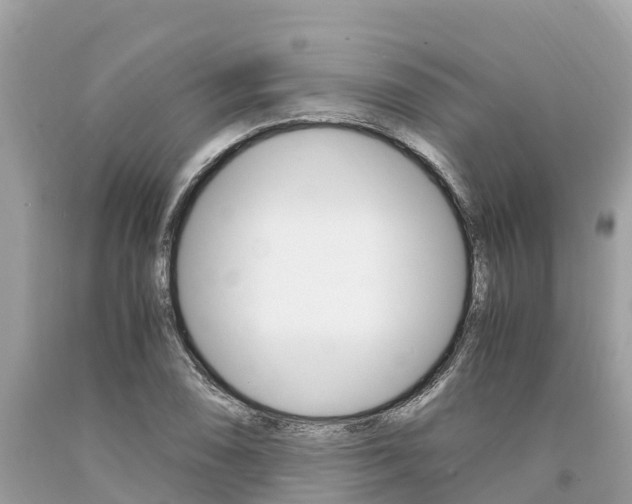 X0000094181074200710260926