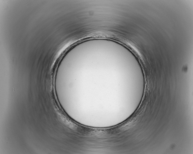 X0000094181075200710260926